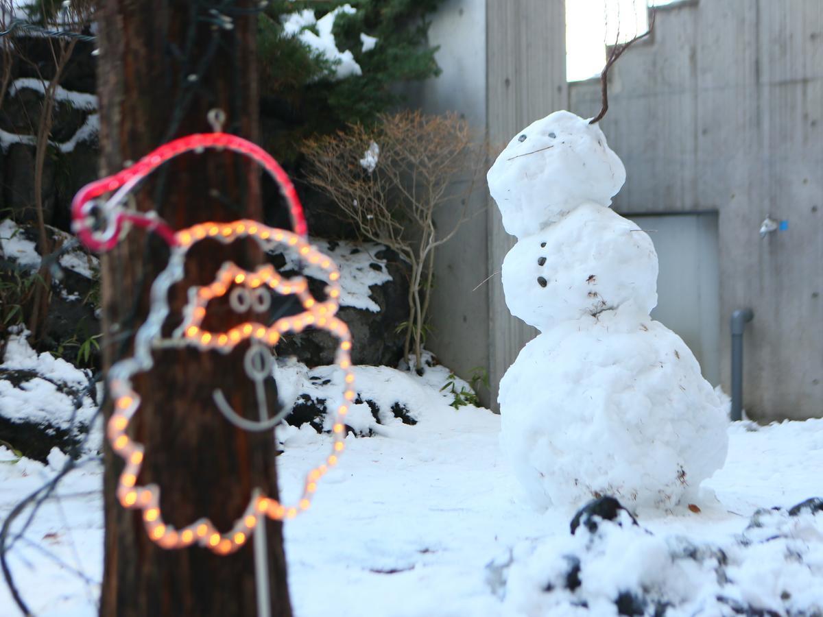 Apa Hotel Karuizawa Ekimae Karuizawaso Exteriér fotografie